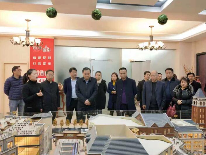 西安市委常委、市委宣传部部长卢凯一行调研四海唐人街