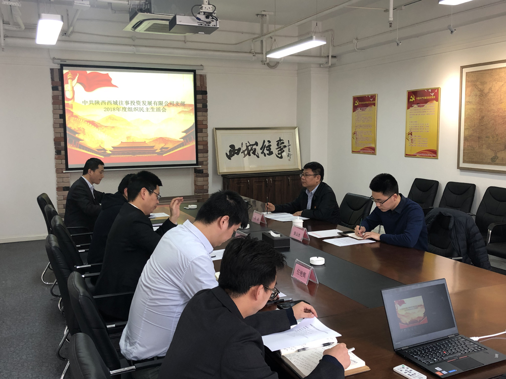 [党群工作]投资控股公司党委组织下辖各支部召开组织生活会